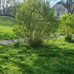 Lägenhet Thomas 028 *