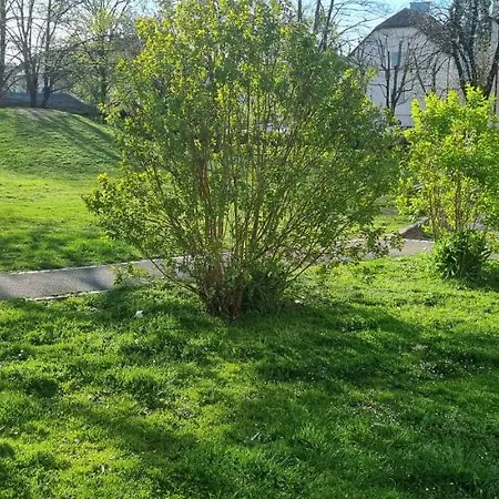 Appartement Thomas 028 *